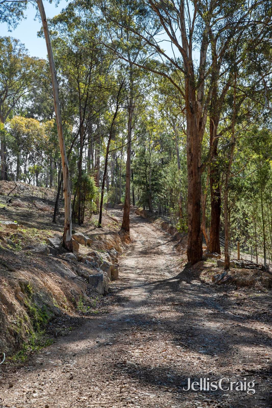 21 Bingley Avenue, Hurstbridge image 8