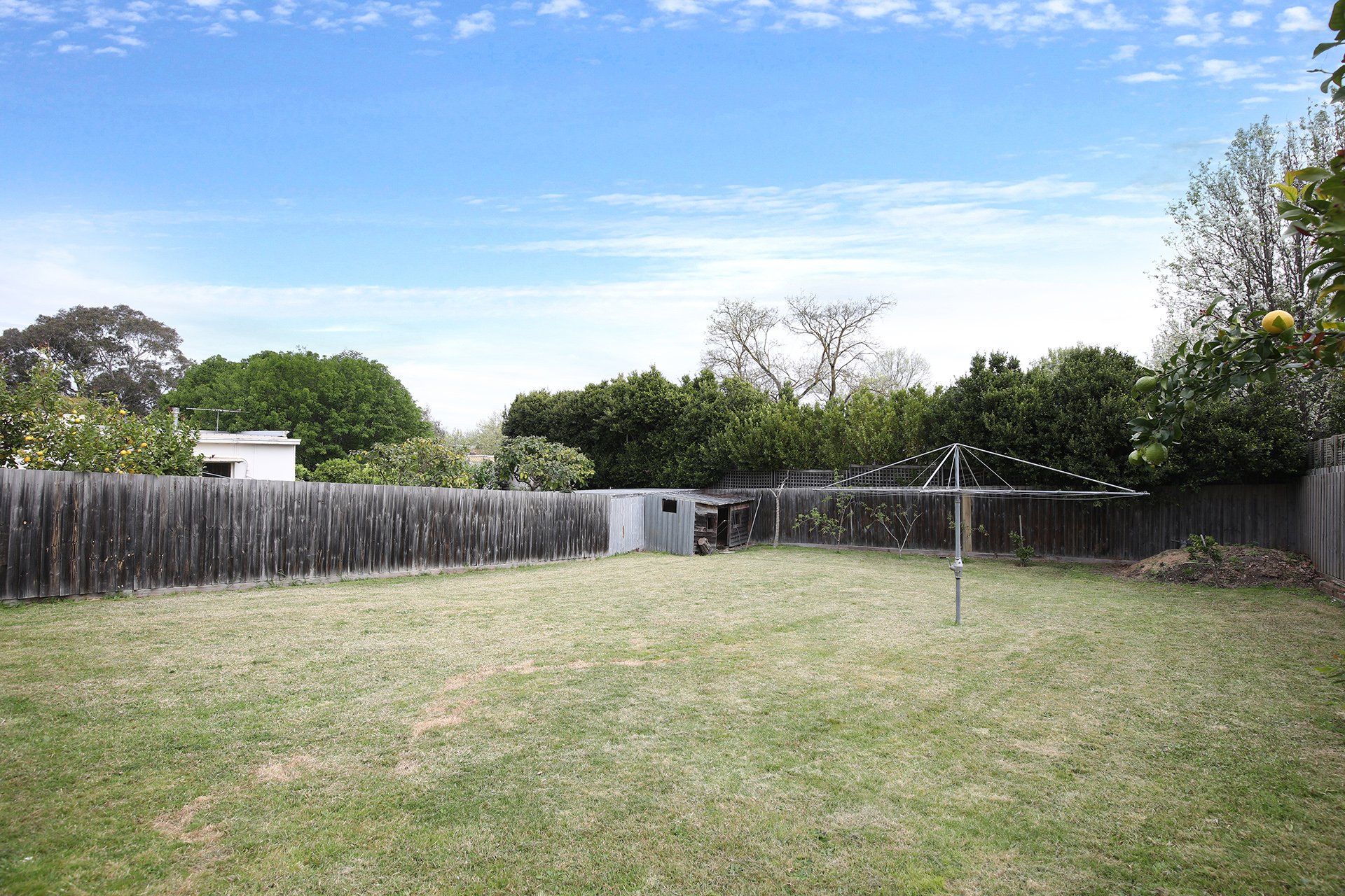 21 Boronia Street, Canterbury image 7