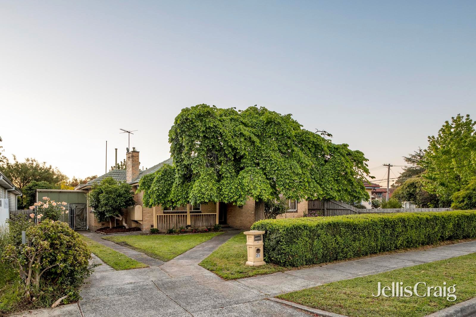 21 Curtis Avenue, Watsonia image 1