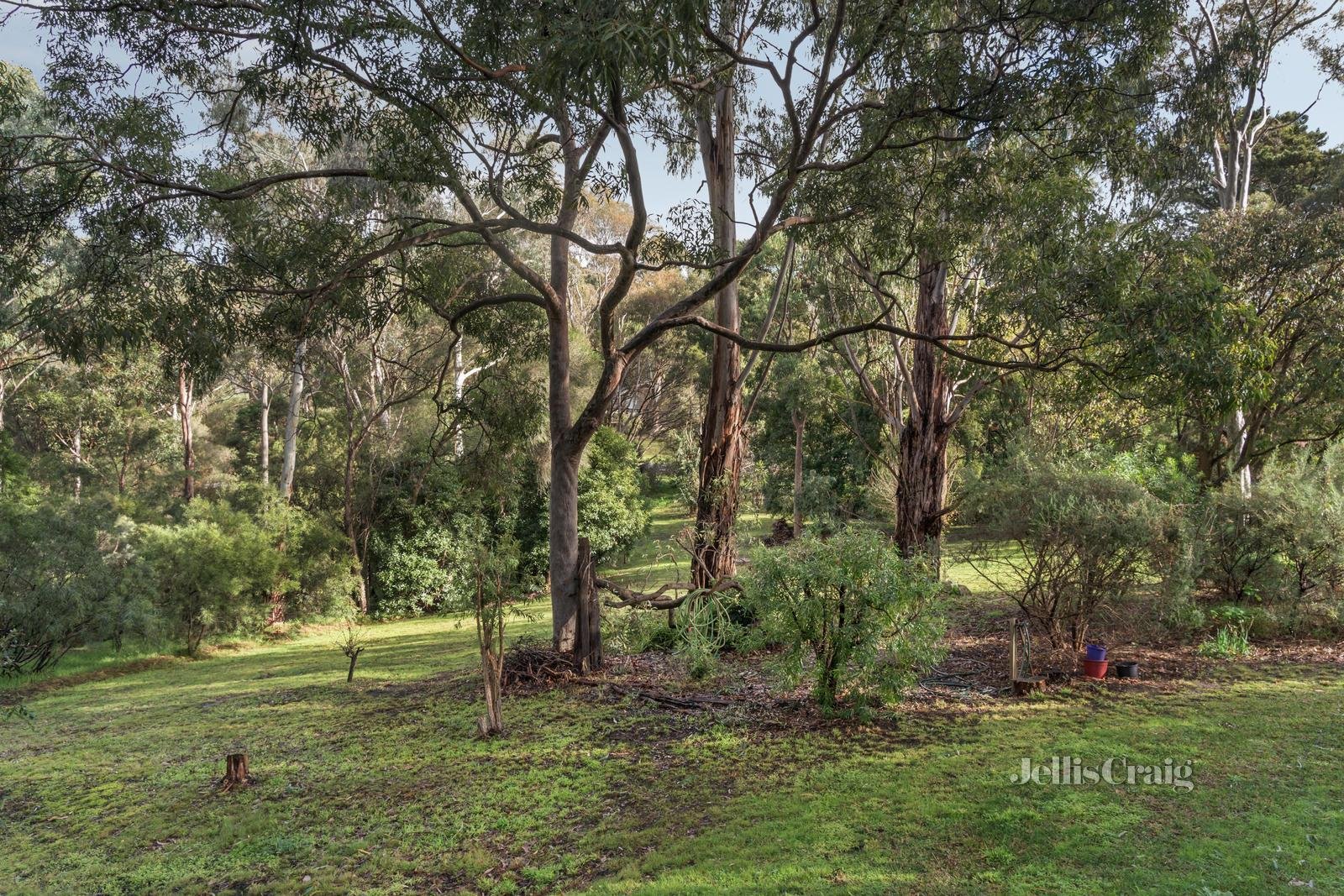 21 Eucalyptus Road, Eltham image 15
