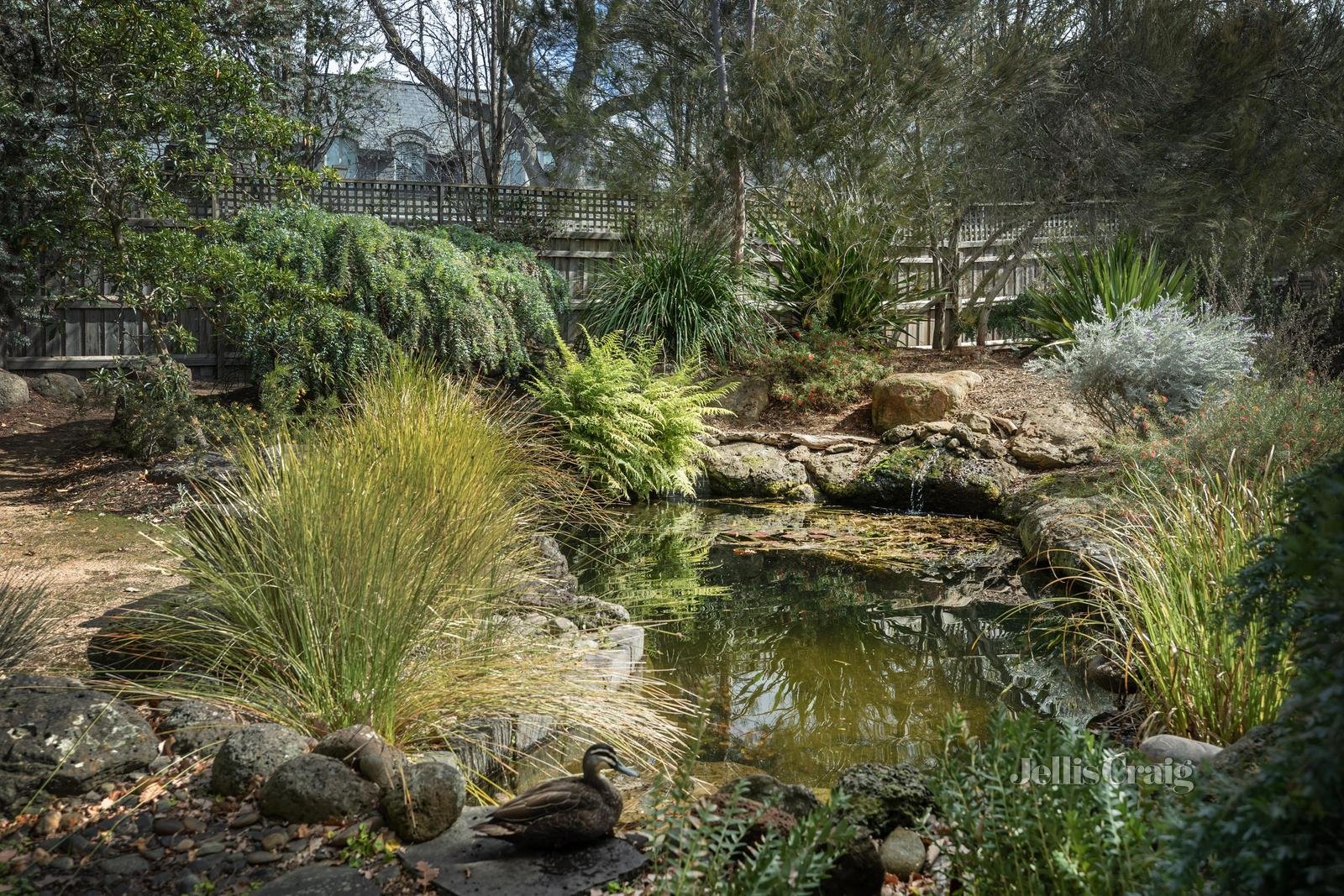 21 Glenbrook Avenue, Malvern East image 15