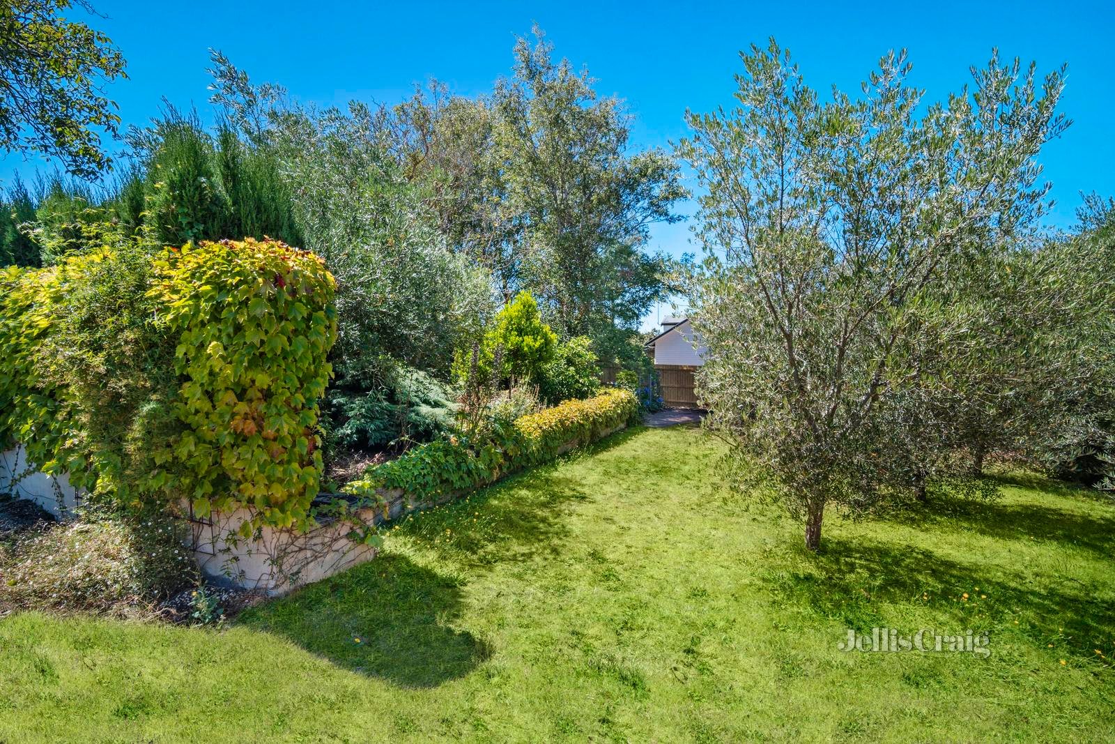 21 Grenville Street, Daylesford image 9