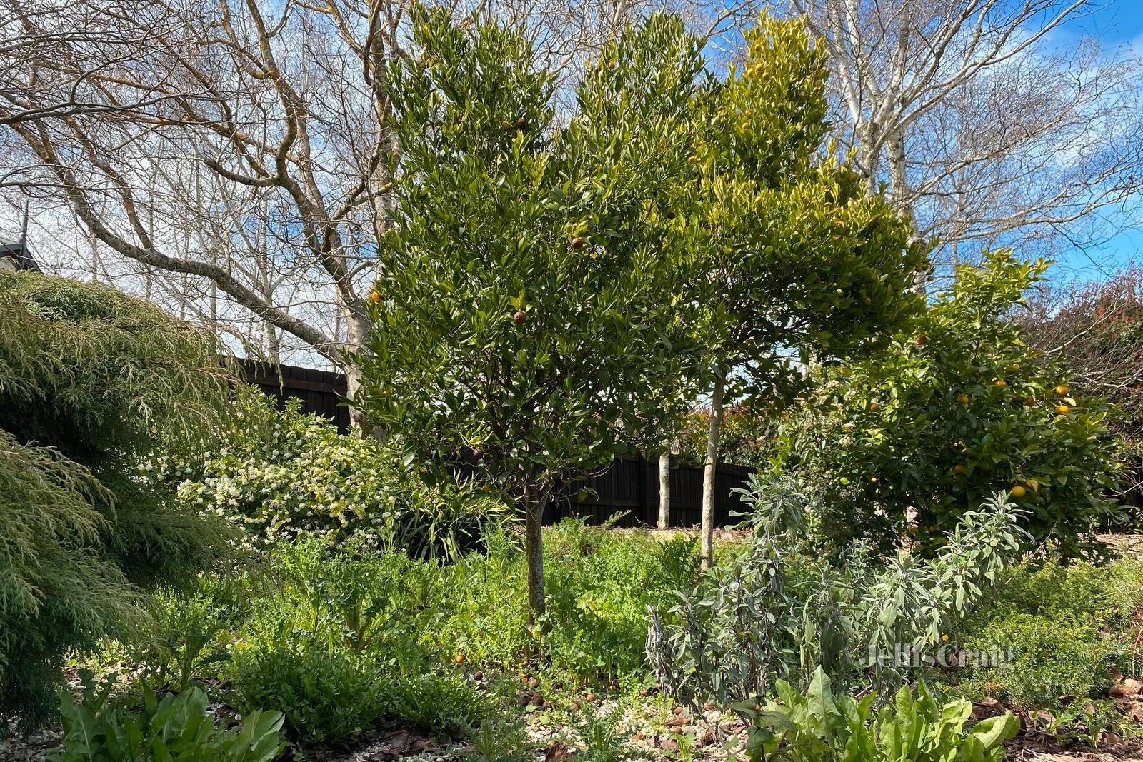 21 Grenville Street, Daylesford image 13