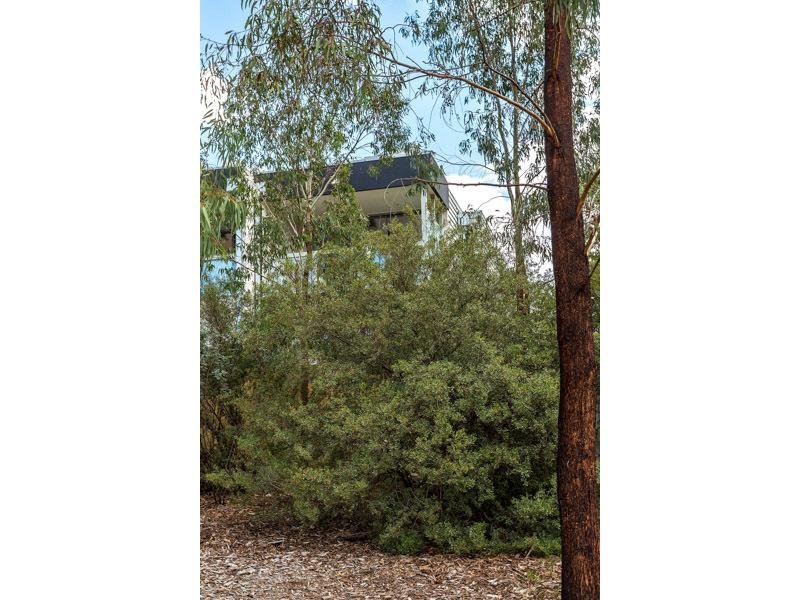 2 / 1 Jepson Street YARRAVILLE