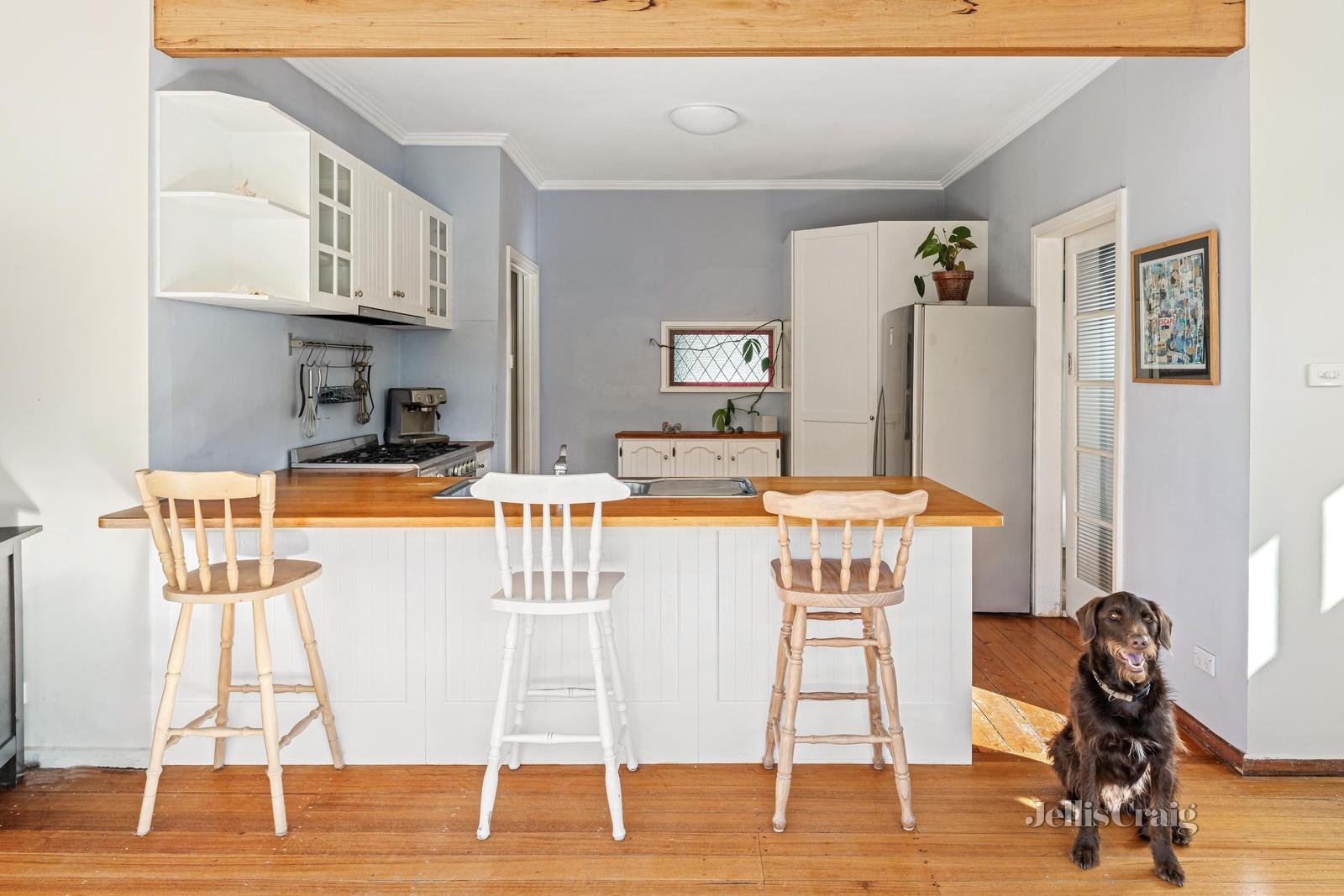21 Macgregor Street, Parkdale image 3