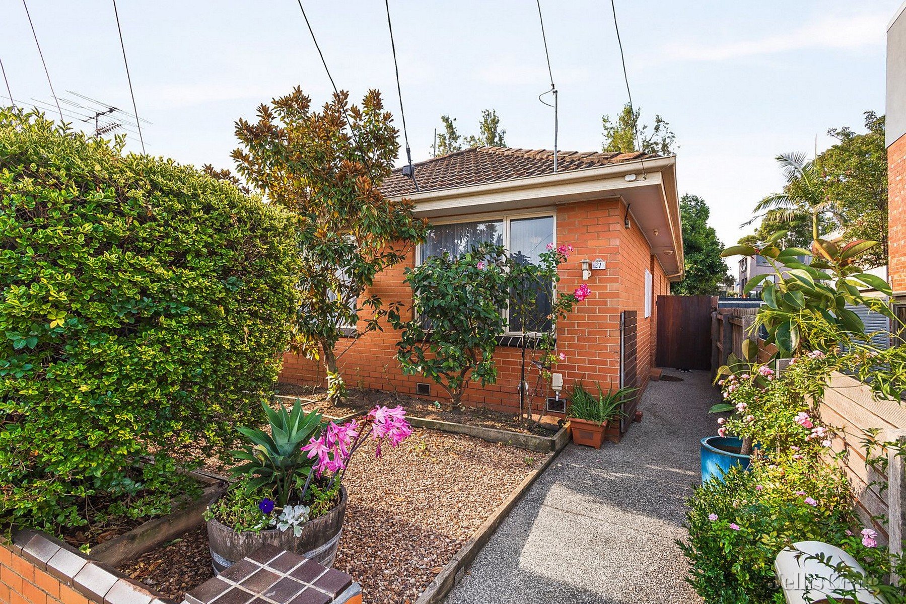 21 Mulgrave Street, Kensington image 1