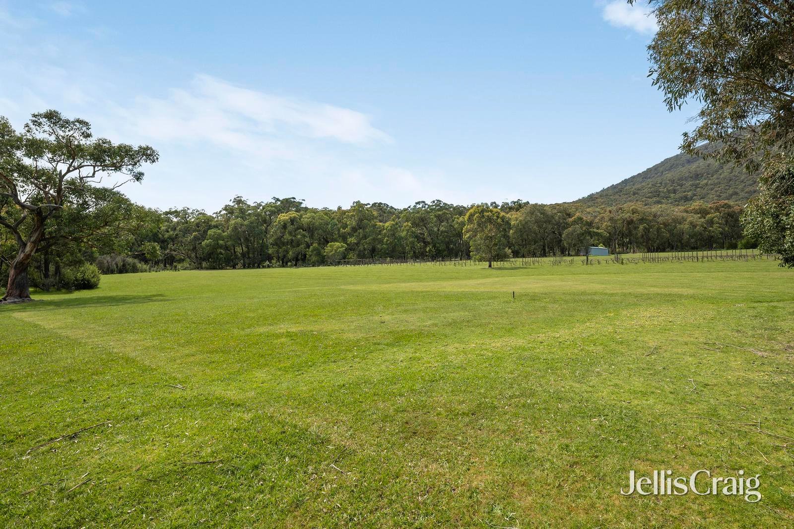 21 Romeo Road, Healesville image 23
