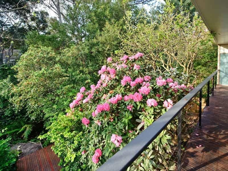 21 Rose Avenue, Surrey Hills image 8