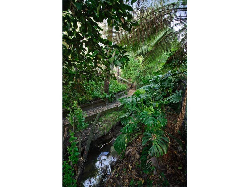 21 Rose Avenue, Surrey Hills image 9
