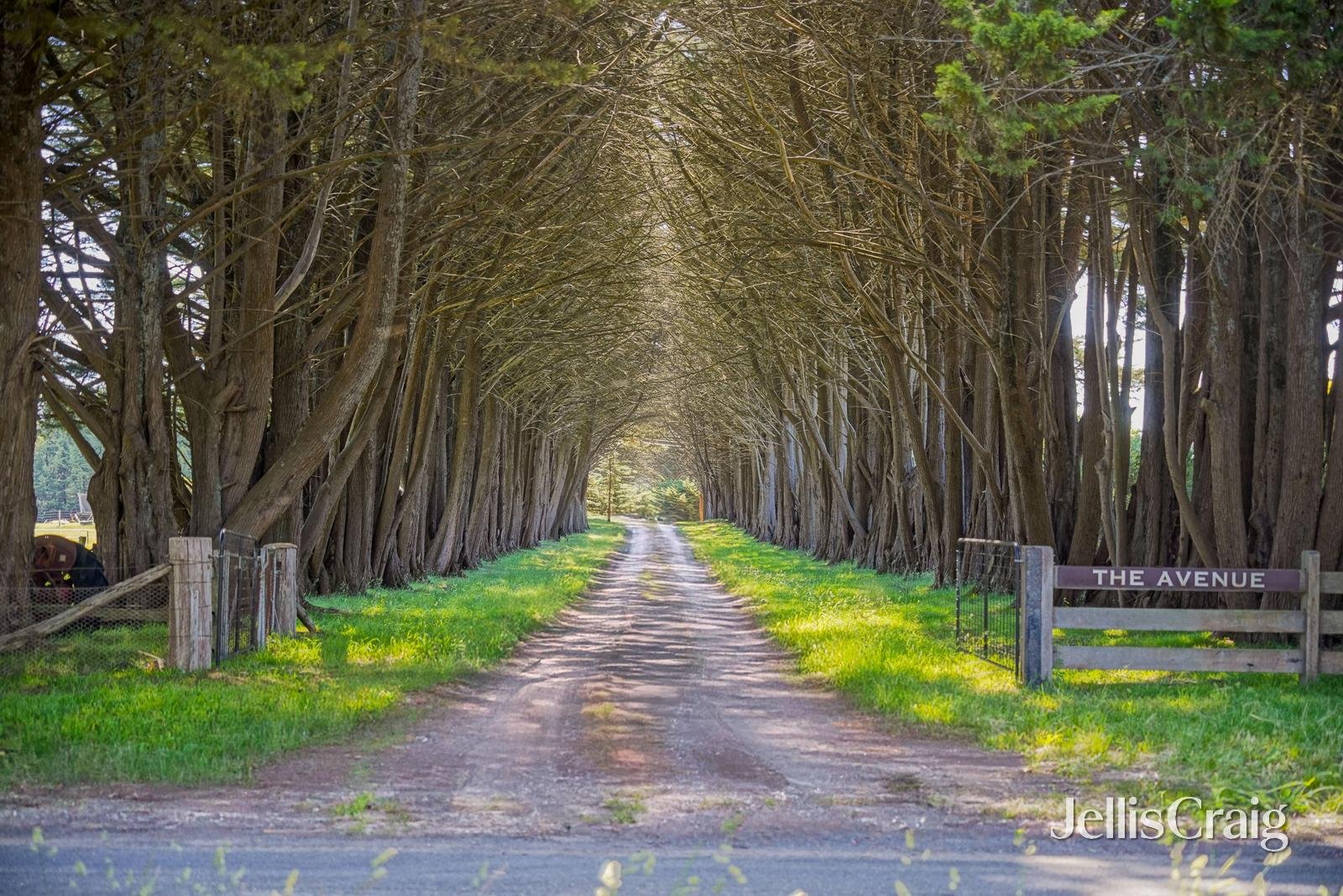 211 Boundary Road, Woodend image 1