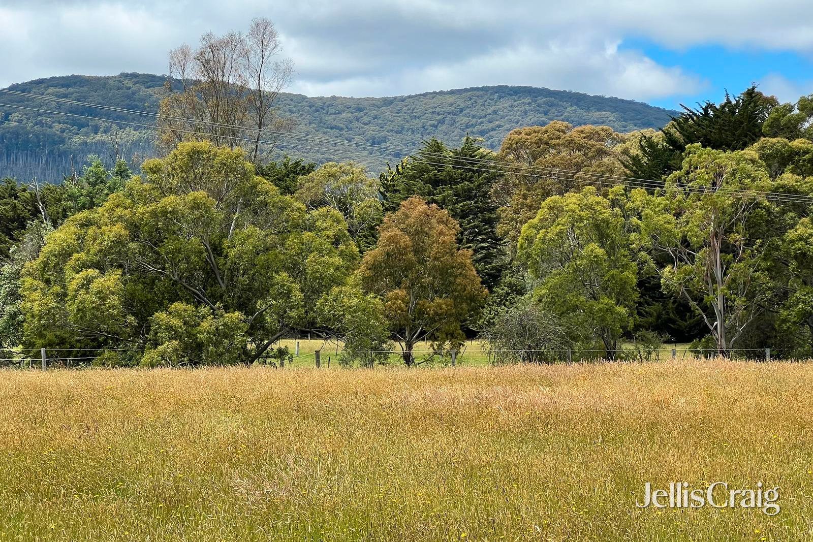 211 Boundary Road, Woodend image 2