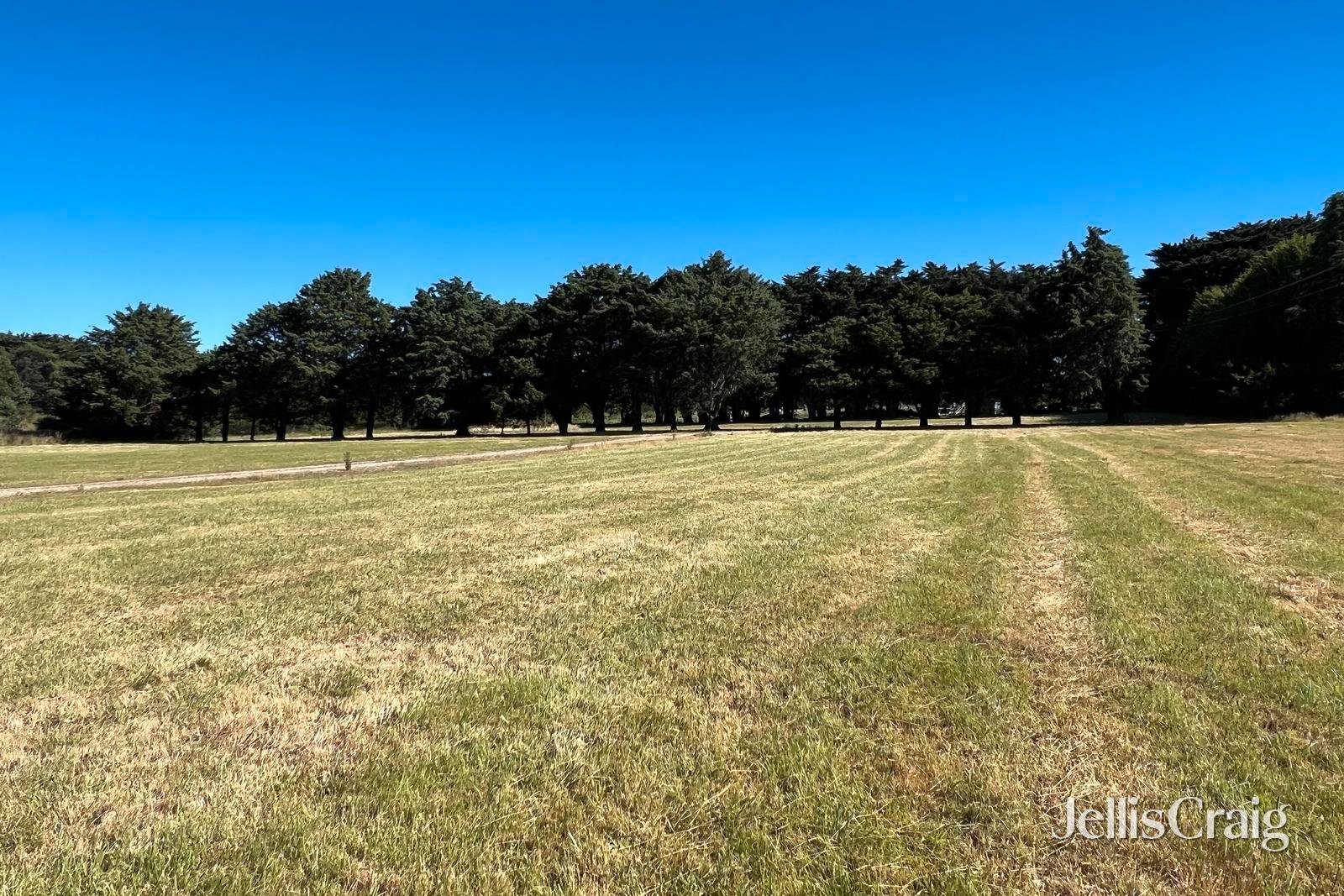 211 Boundary Road, Woodend image 4