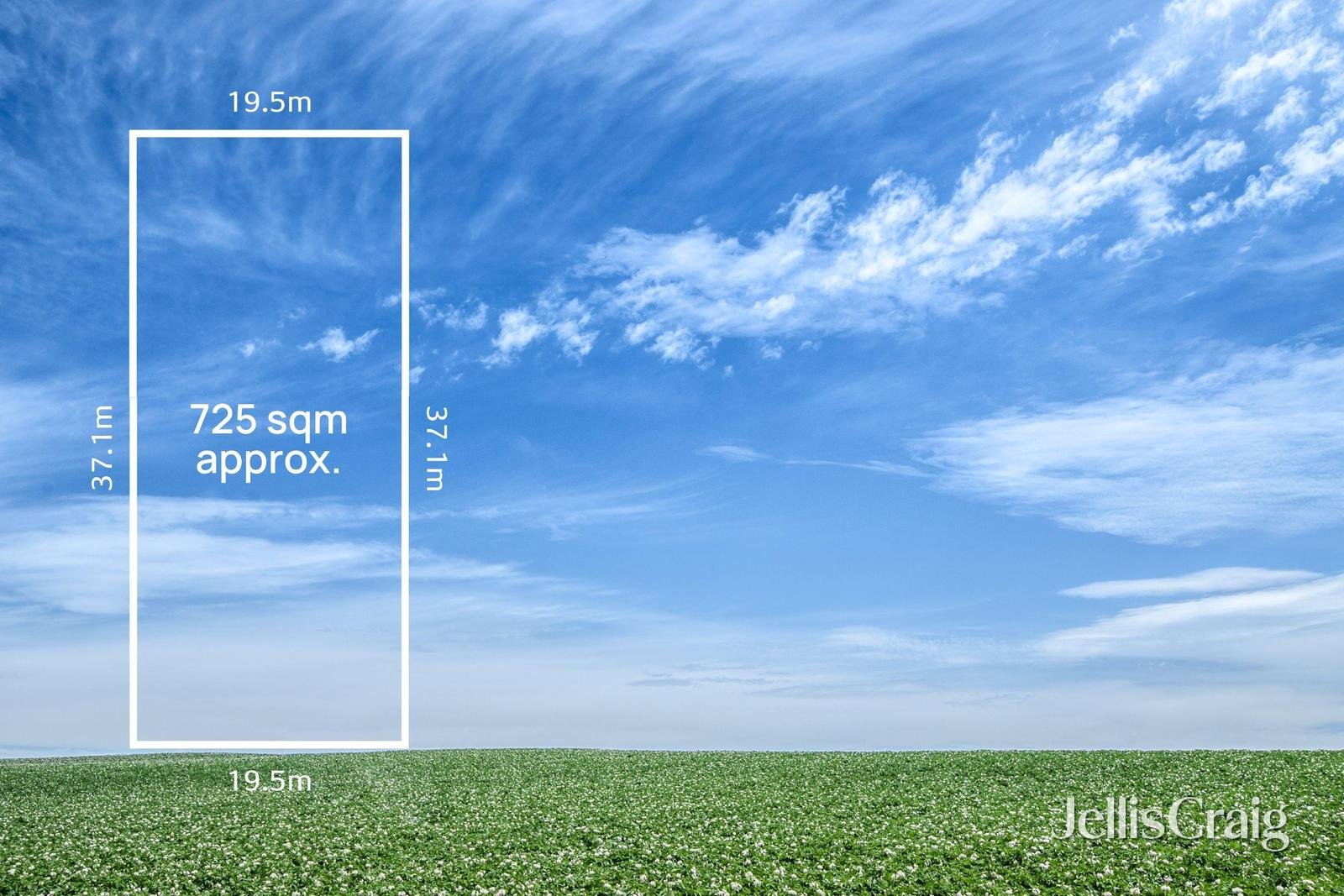 211 Lawrence Road, Mount Waverley image 7