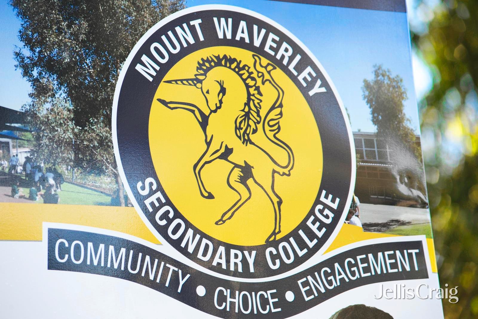 211 Lawrence Road, Mount Waverley image 8