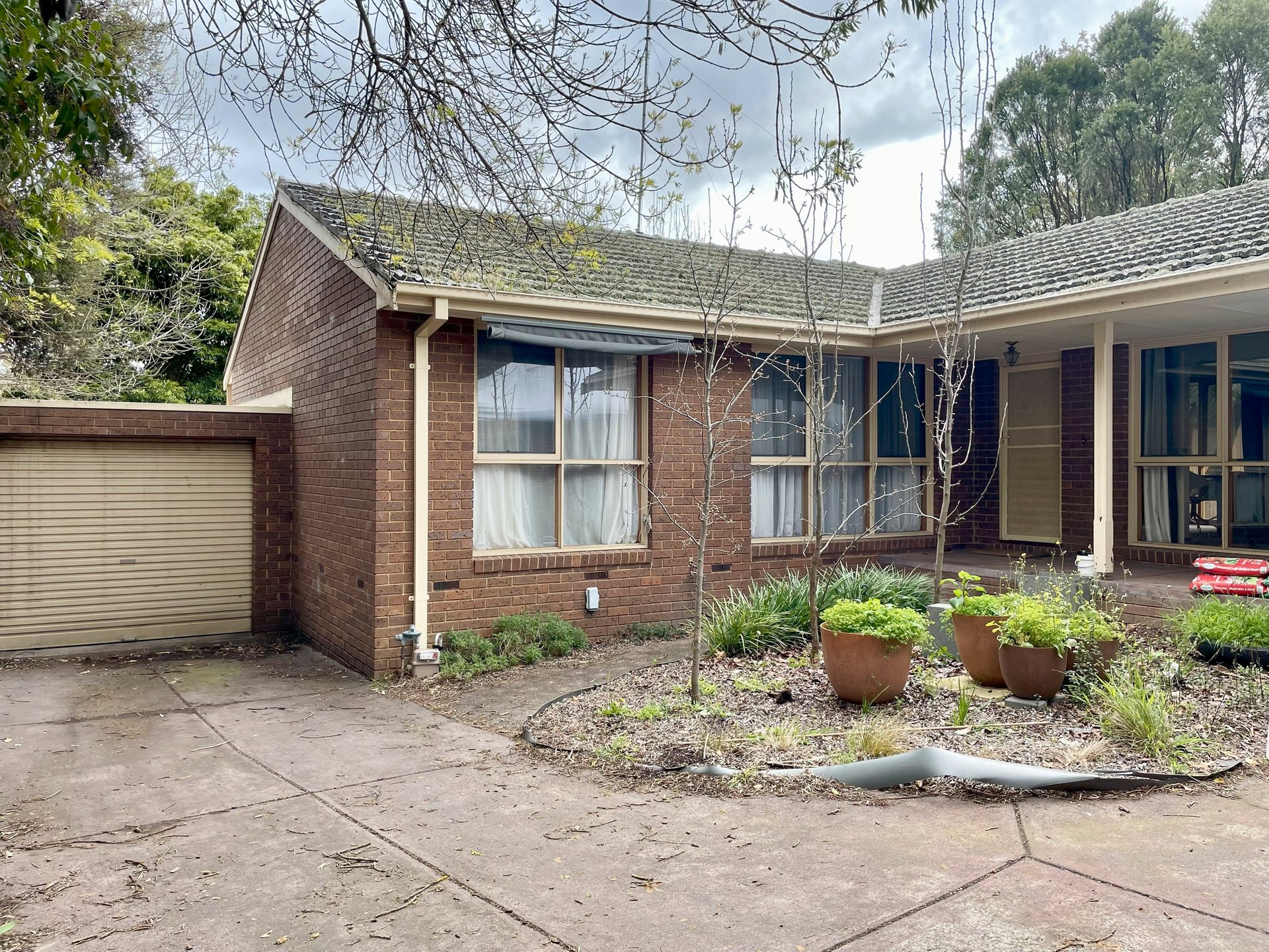2/12 Myrtle Grove, Blackburn image 6