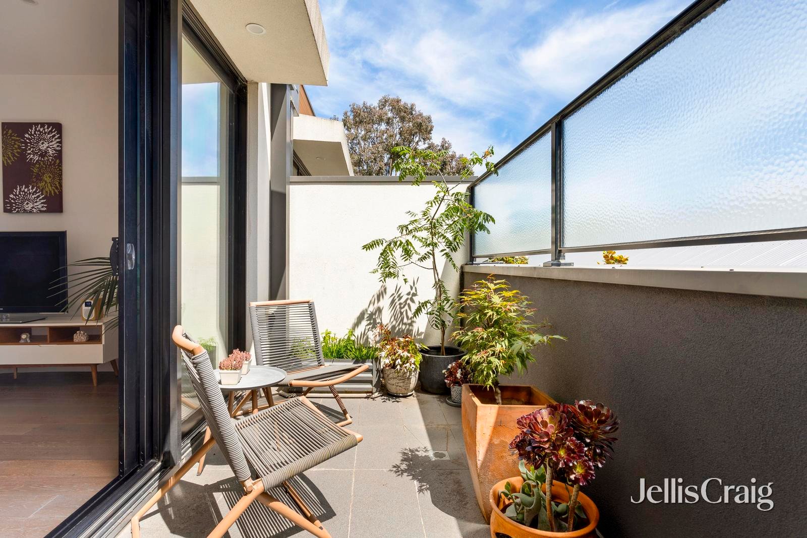 2/125 Grange Road, Fairfield image 11