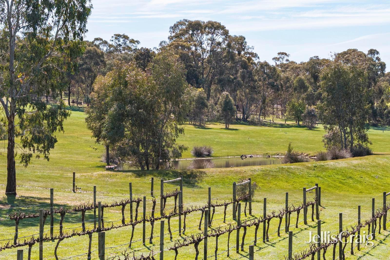 213 Mia Mia Road, Newstead image 2