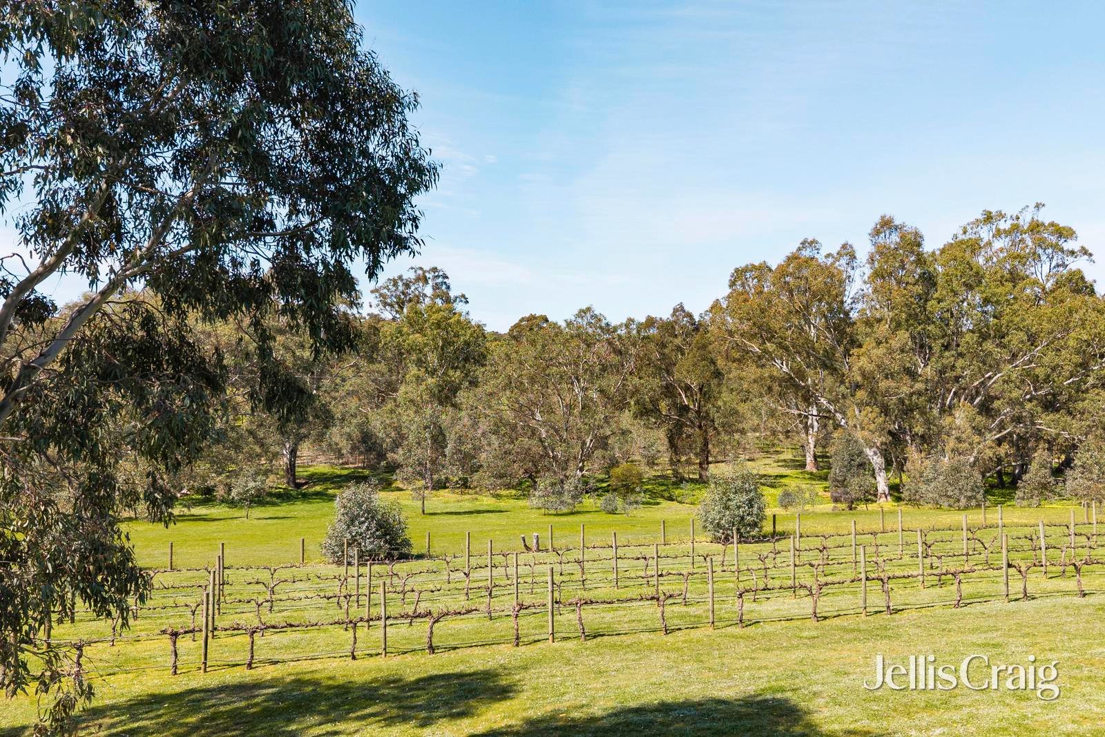 213 Mia Mia Road, Newstead image 14