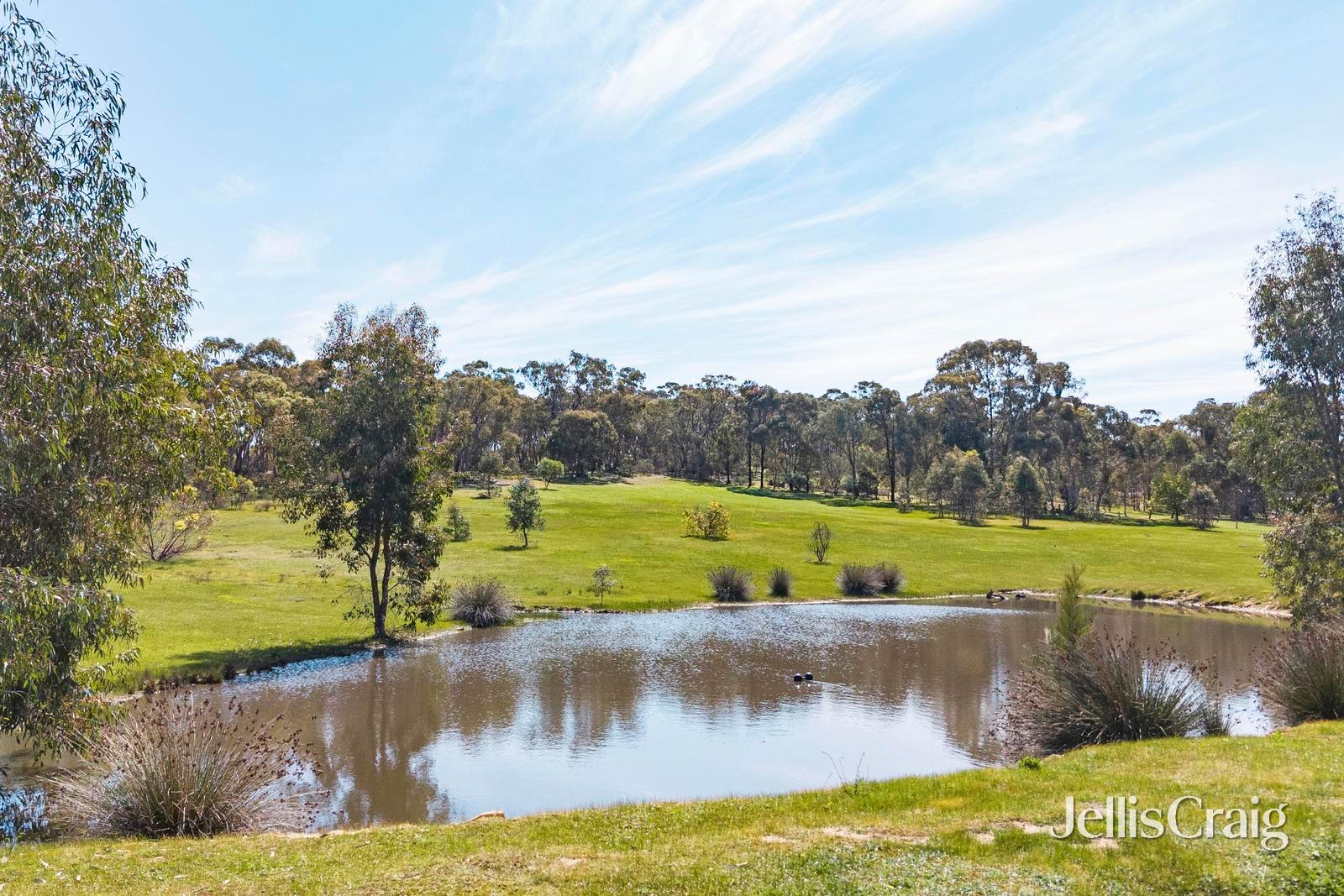 213 Mia Mia Road, Newstead image 16