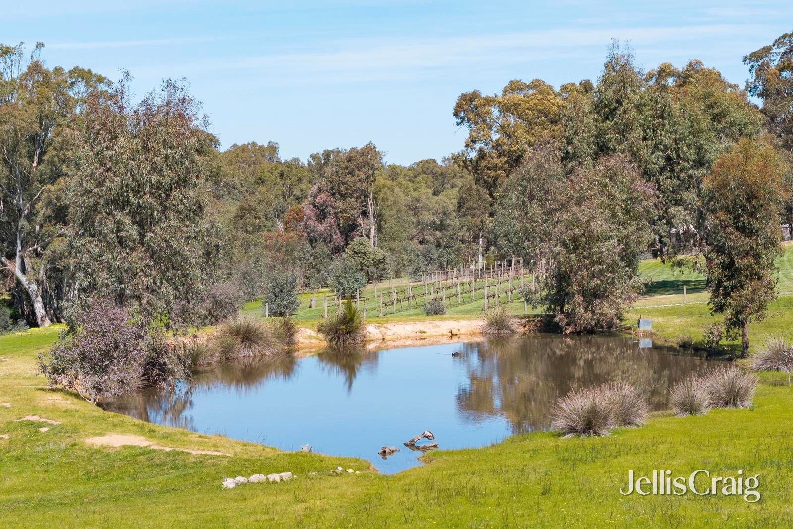 213 Mia Mia Road, Newstead image 22