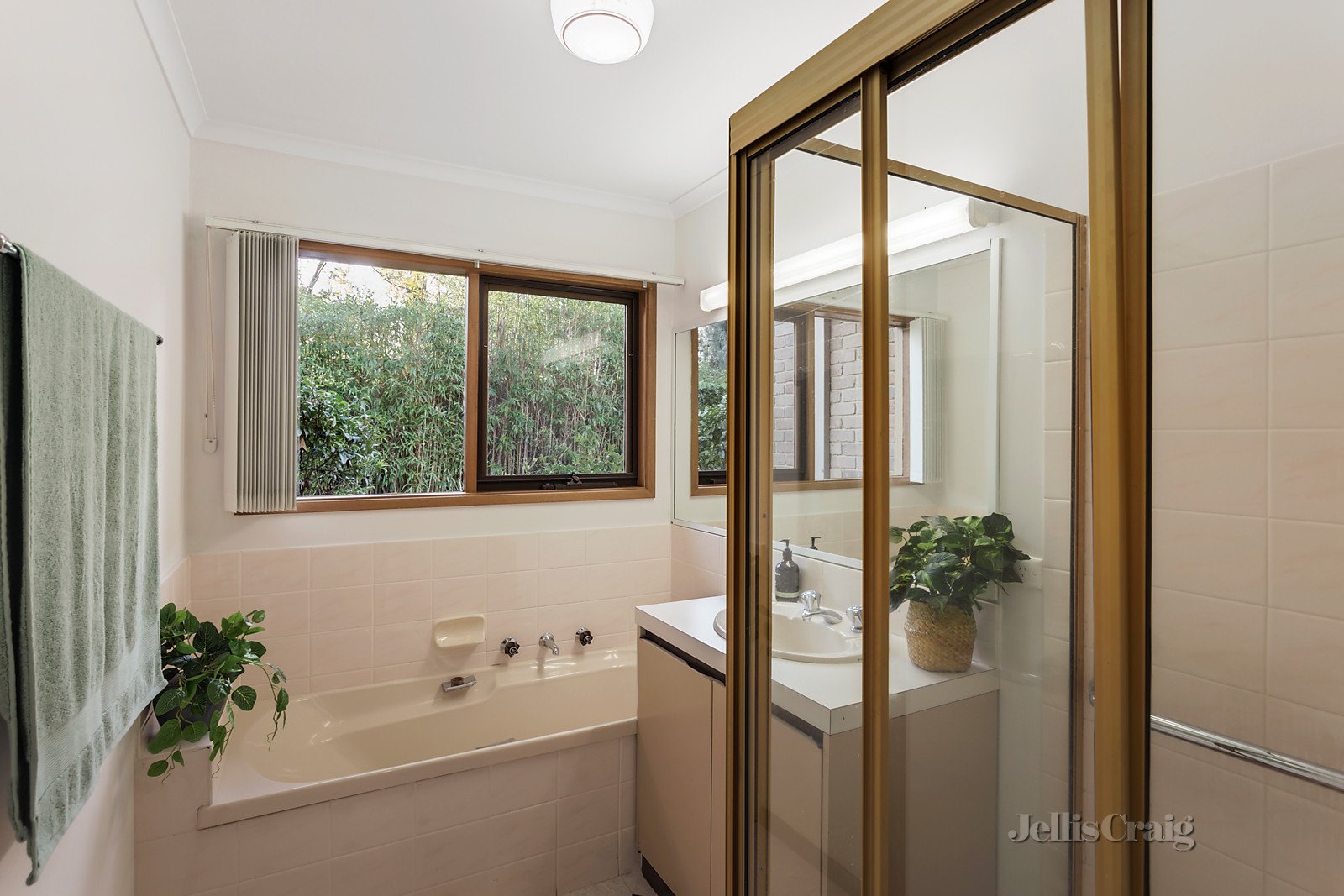 2/131 Blackburn Road, Blackburn image 8
