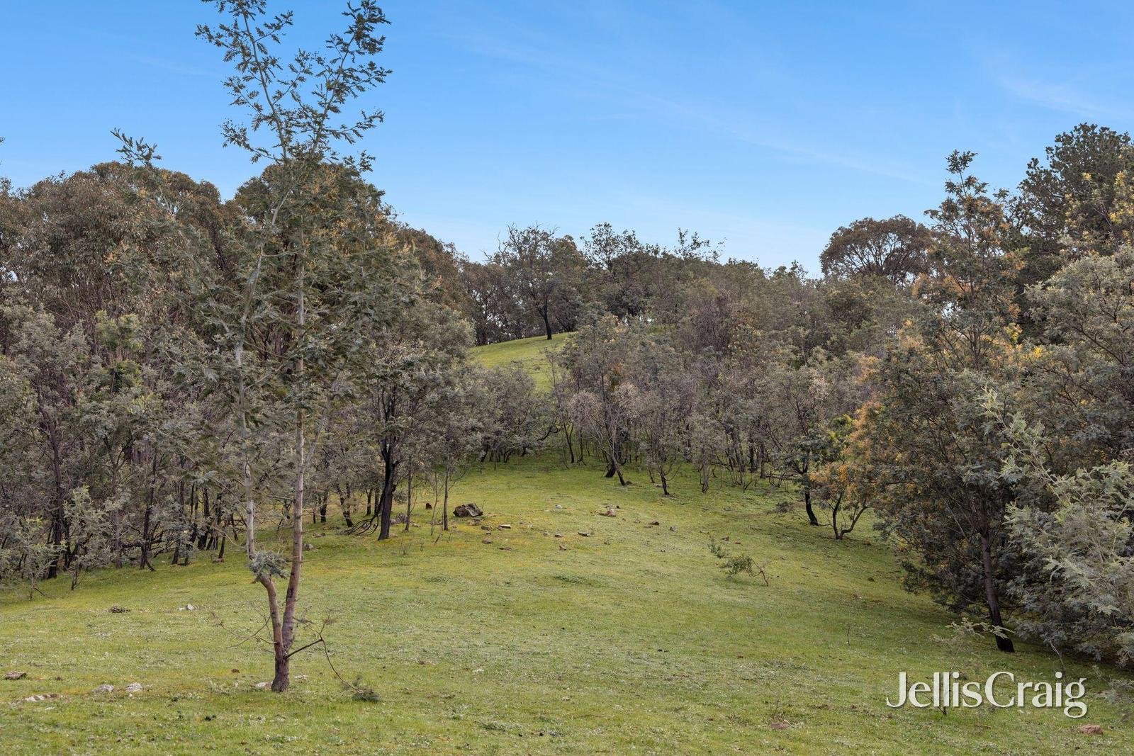 214 White Gum Road, Barkers&nbsp;Creek image 15