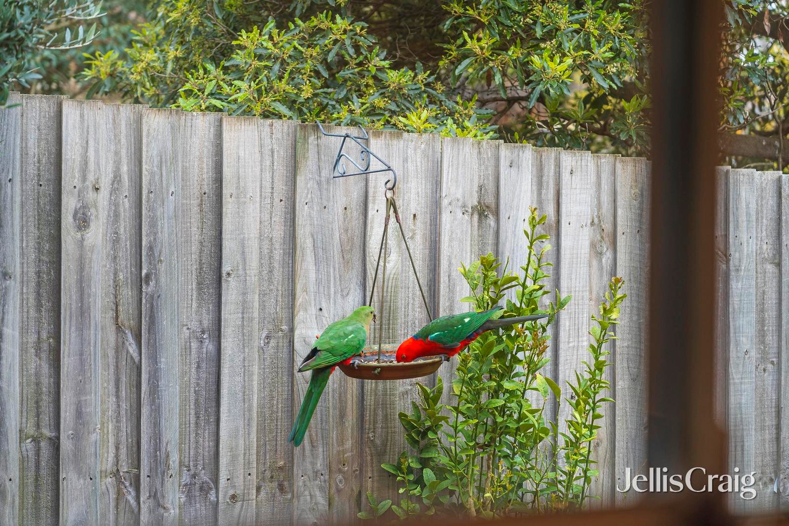 2/15 Andrew Street, Ringwood image 5