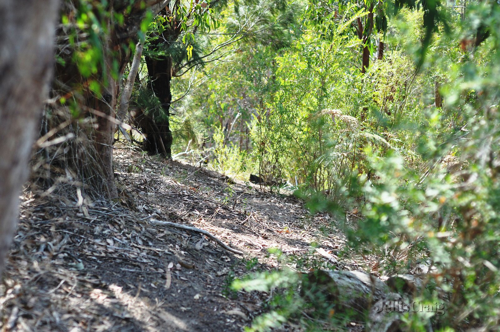 215 Bald Spur Road, Kinglake image 4