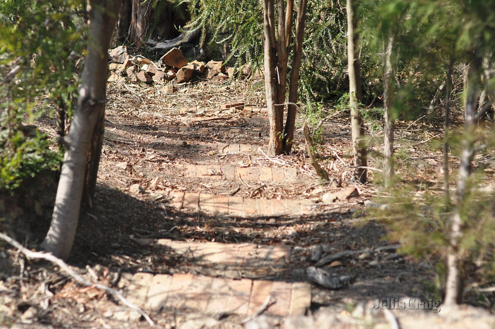 215 Bald Spur Road, Kinglake image 6