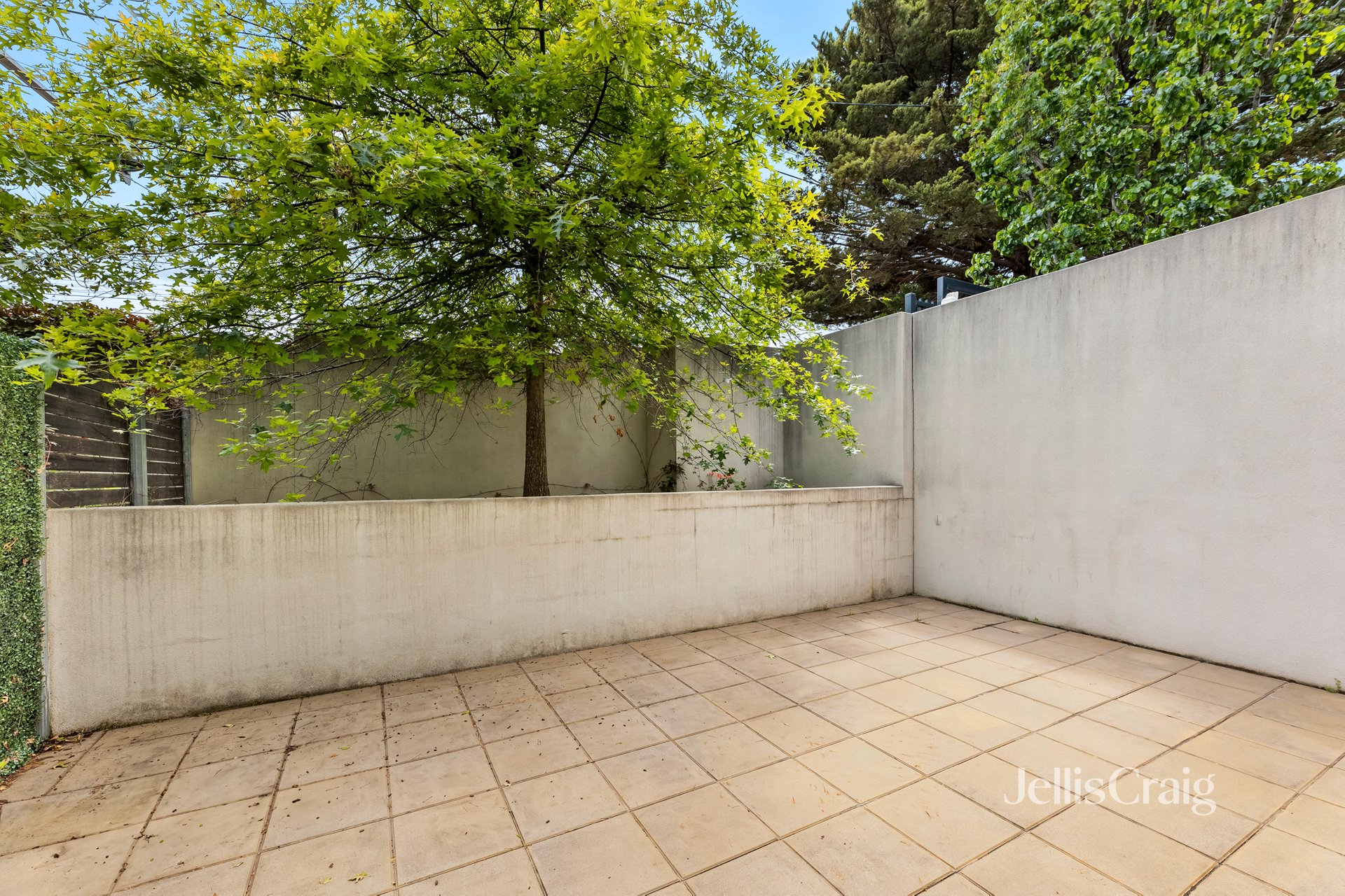 2/1526 High Street, Glen Iris image 6