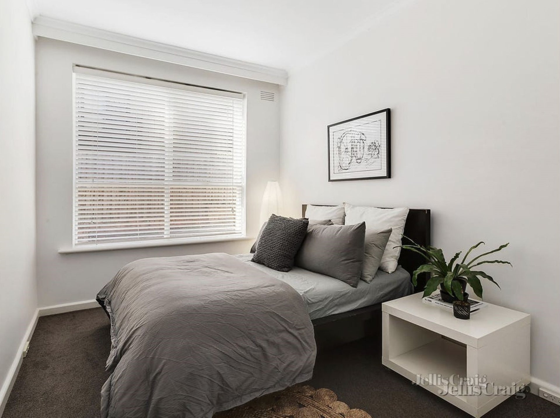 2/1544 Malvern Road, Glen Iris image 4