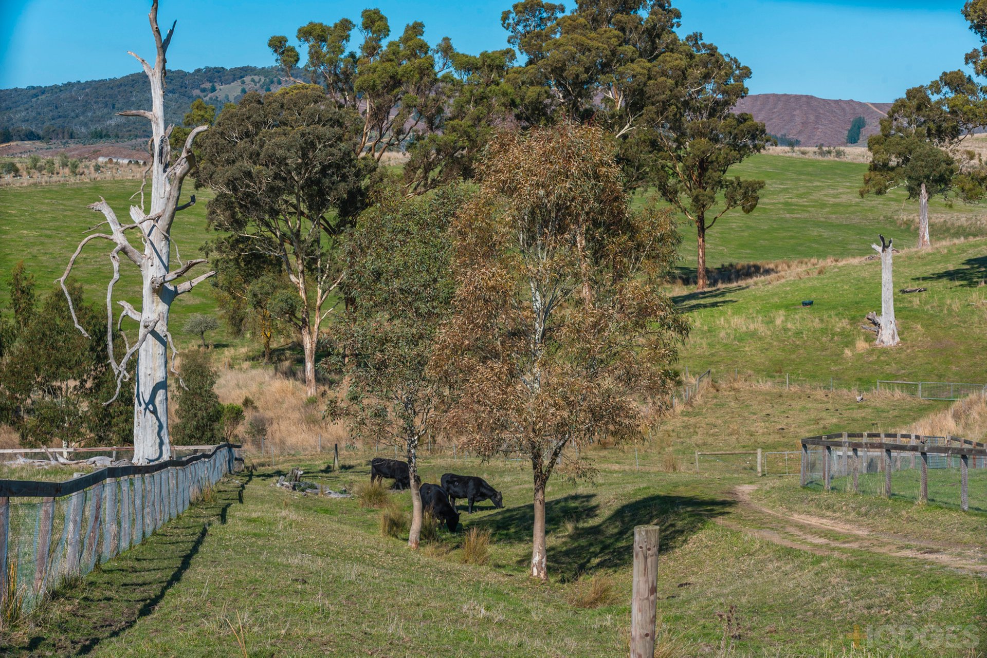 216 Clonbinane Road Wandong