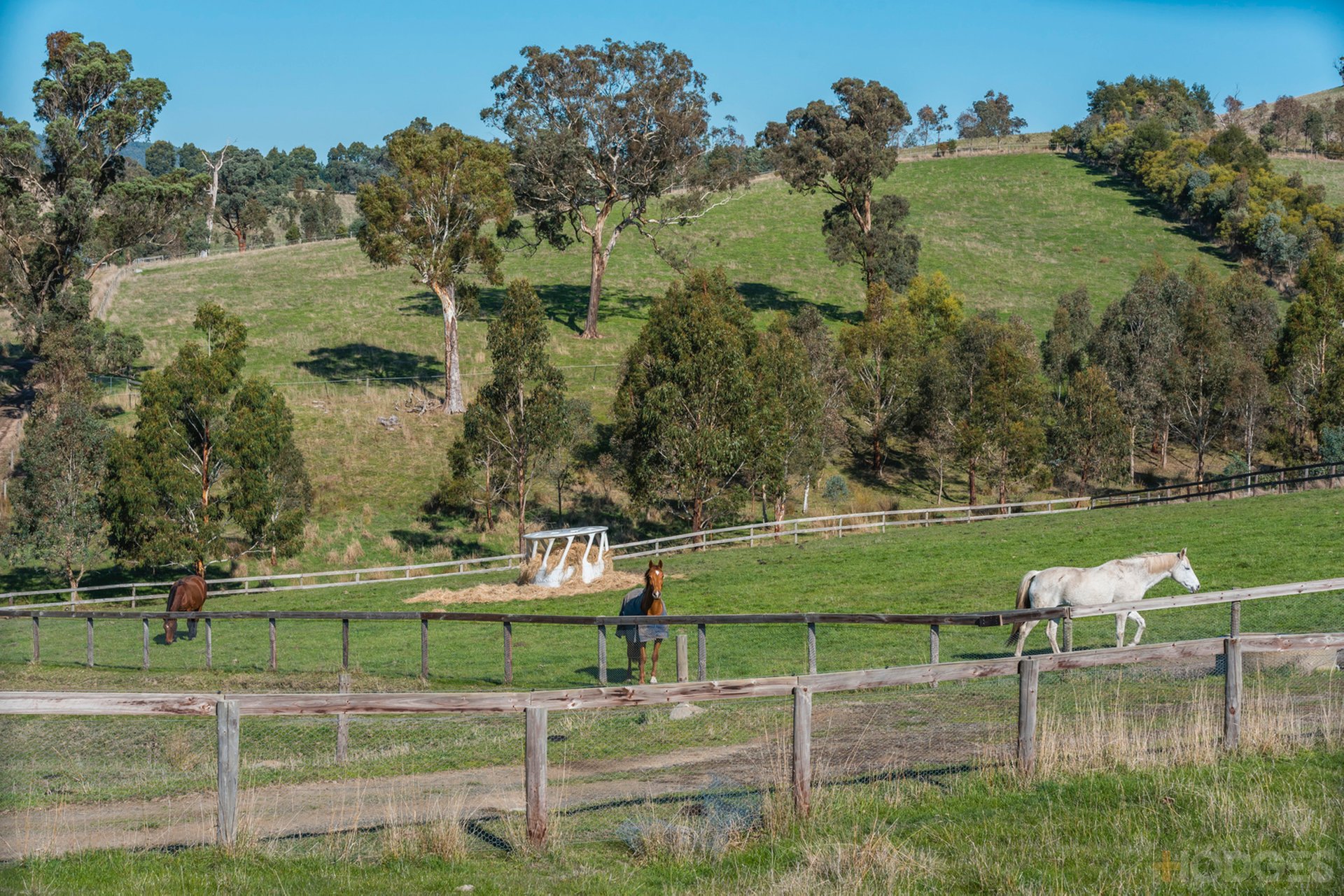 216 Clonbinane Road Wandong