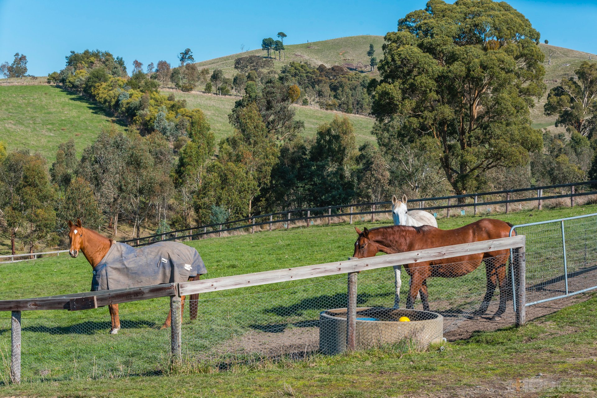 216 Clonbinane Road Wandong