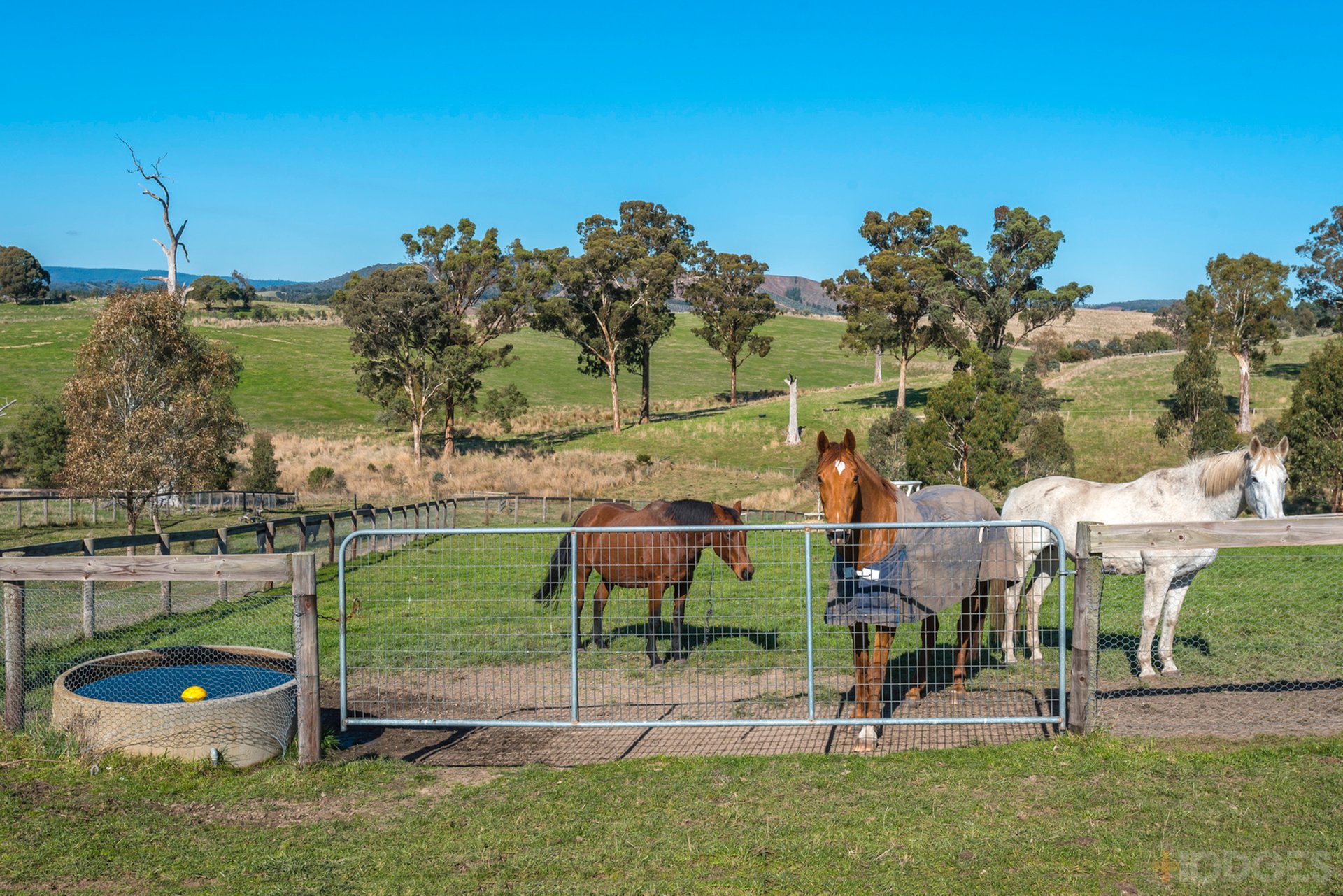 216 Clonbinane Road Wandong