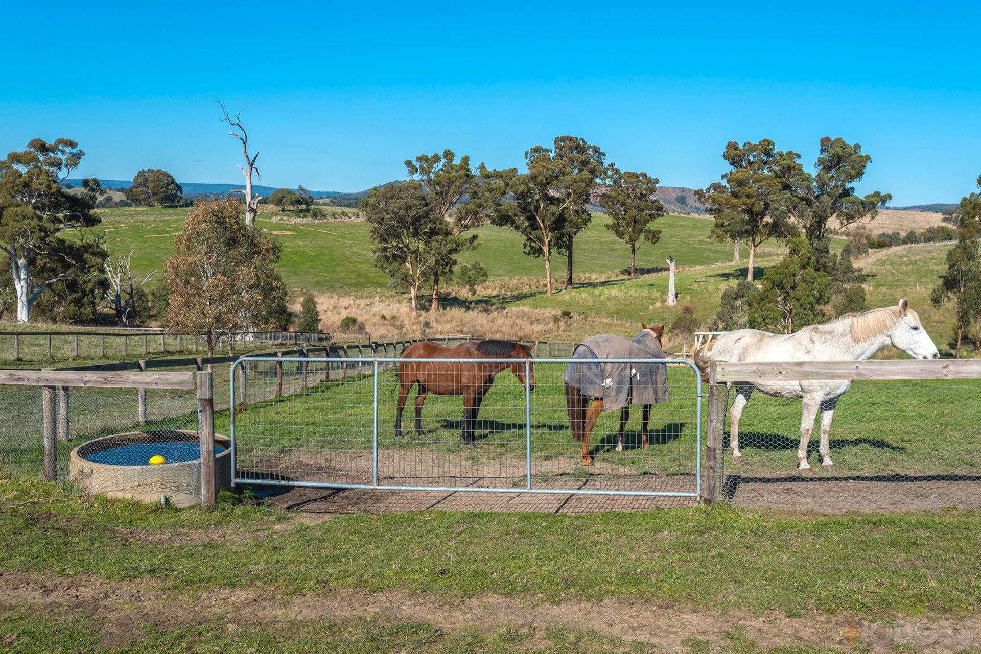 216 Clonbinane Road Wandong