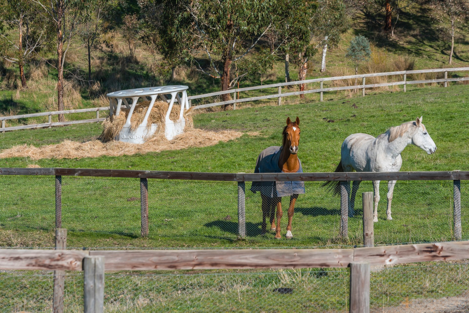 216 Clonbinane Road Wandong