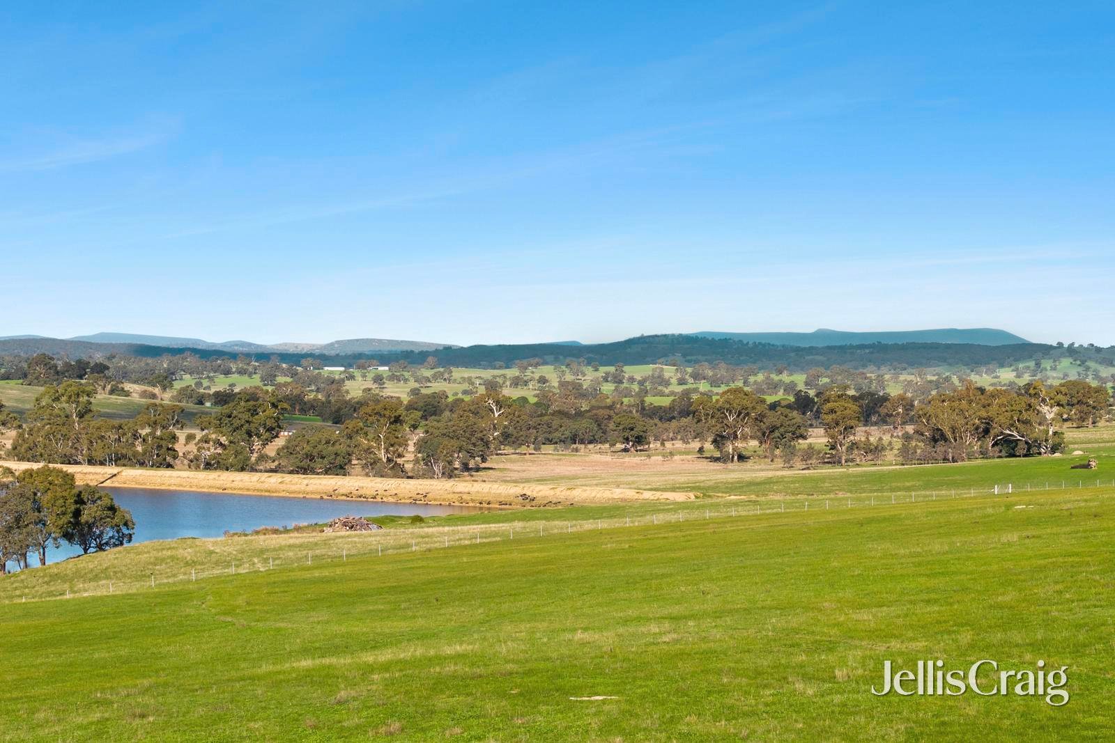 219 Daintys Lane, Elphinstone image 7