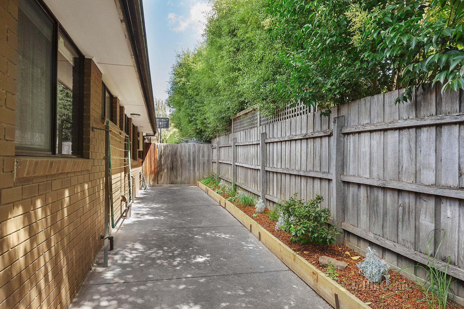 2/19 Elm Street, Surrey Hills image 5