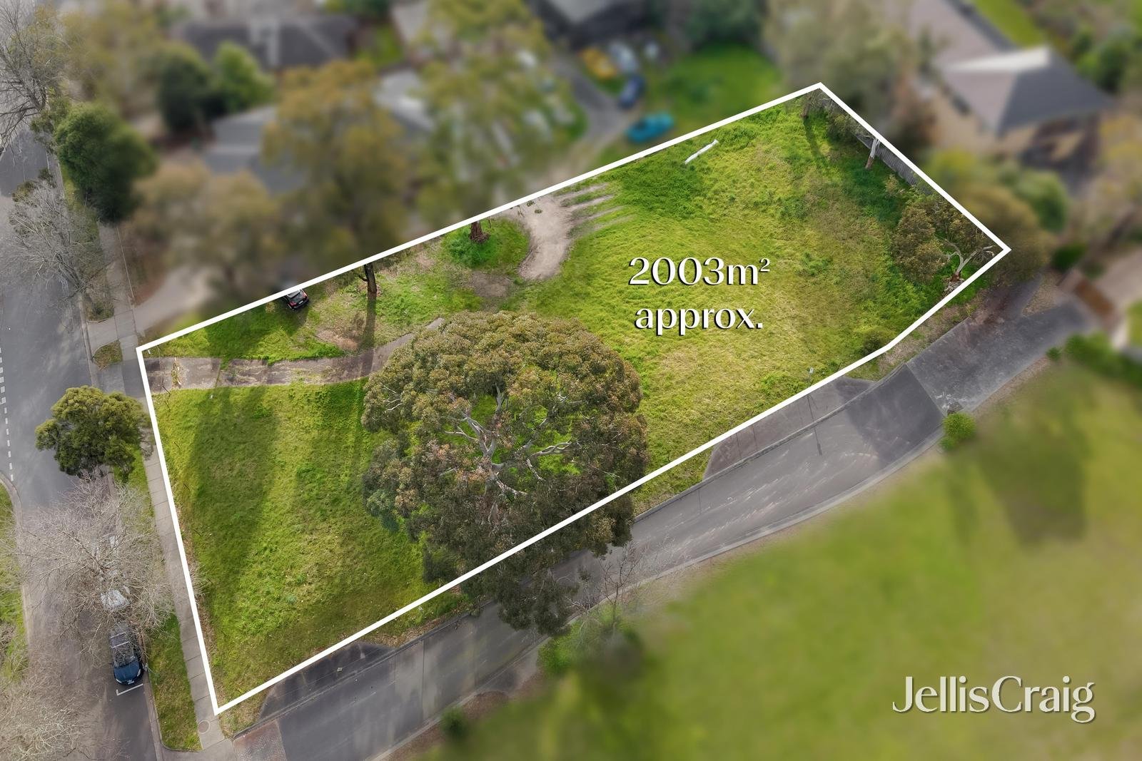 21A Grey Street, Ringwood&nbsp;East image 2
