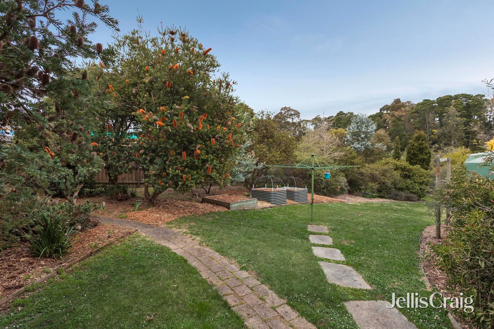 22-24 Feversham Avenue, Park Orchards image 14