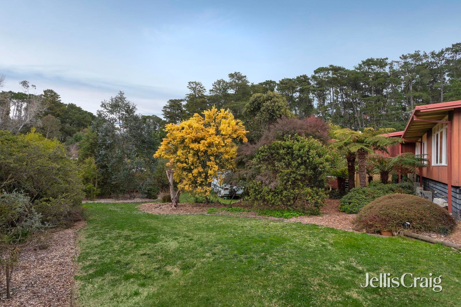 22-24 Feversham Avenue, Park Orchards image 15