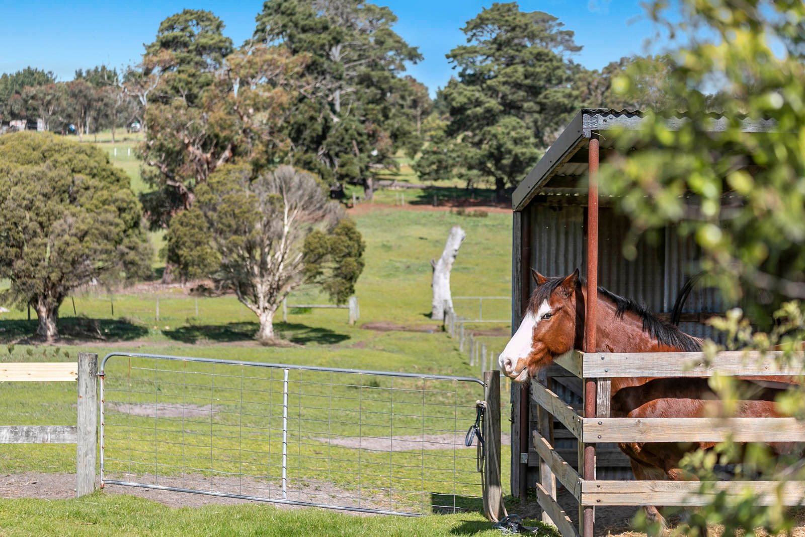 Property Gallery Thumbnail 18