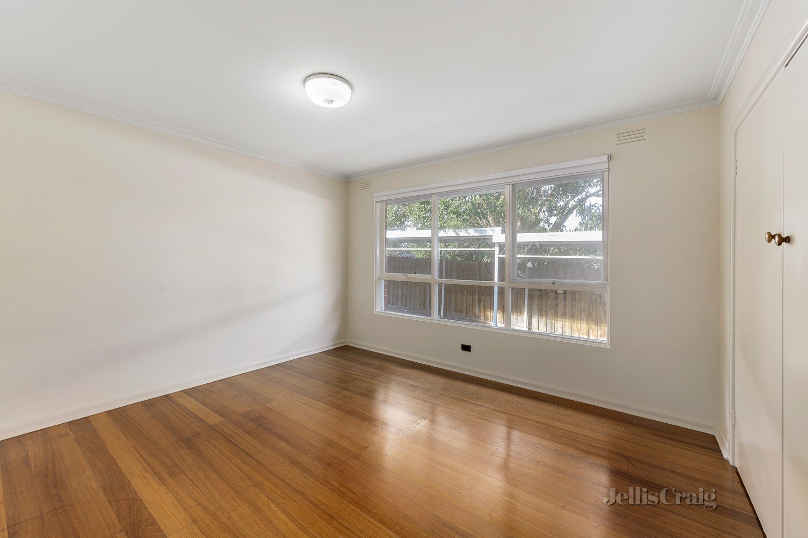2/2 Arnott Street, Mont Albert North image 4