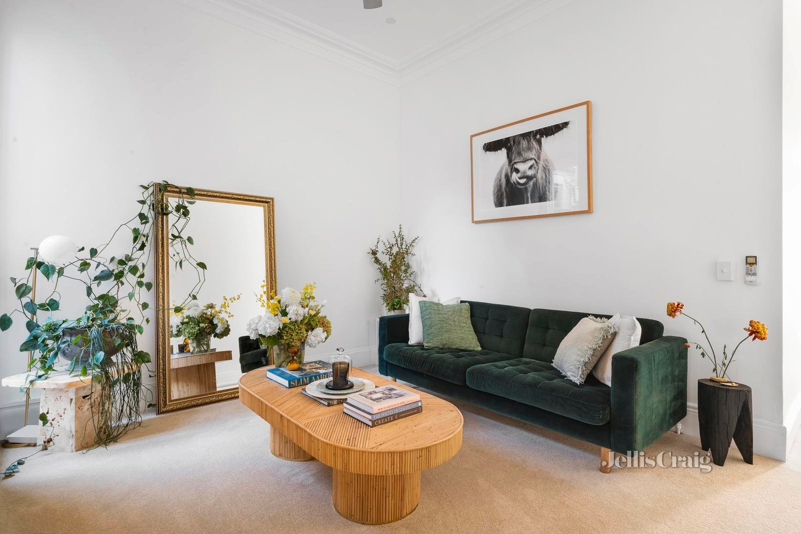 22 Garfield Street, Fitzroy image 3