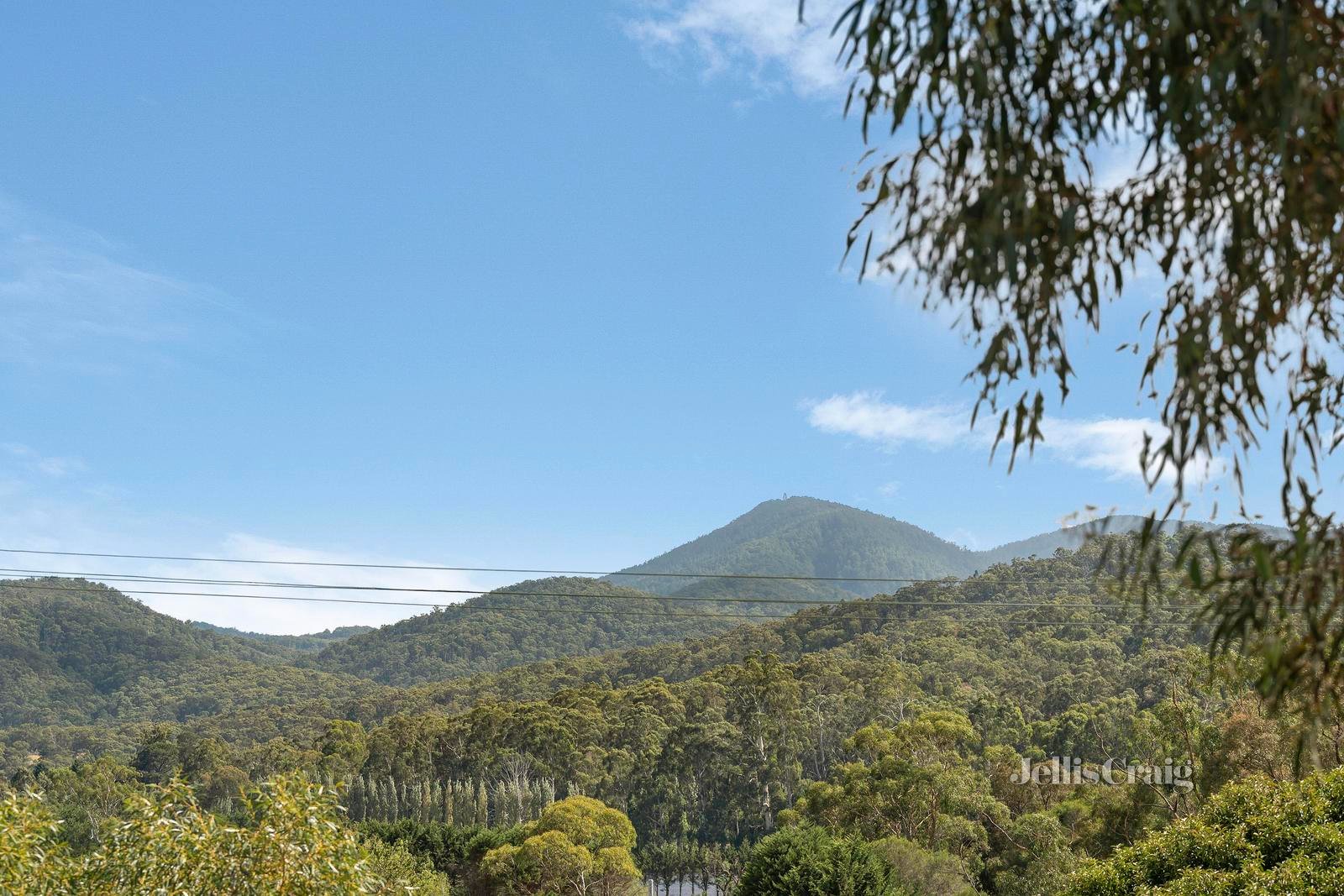 22 McGregor Avenue, Healesville image 18