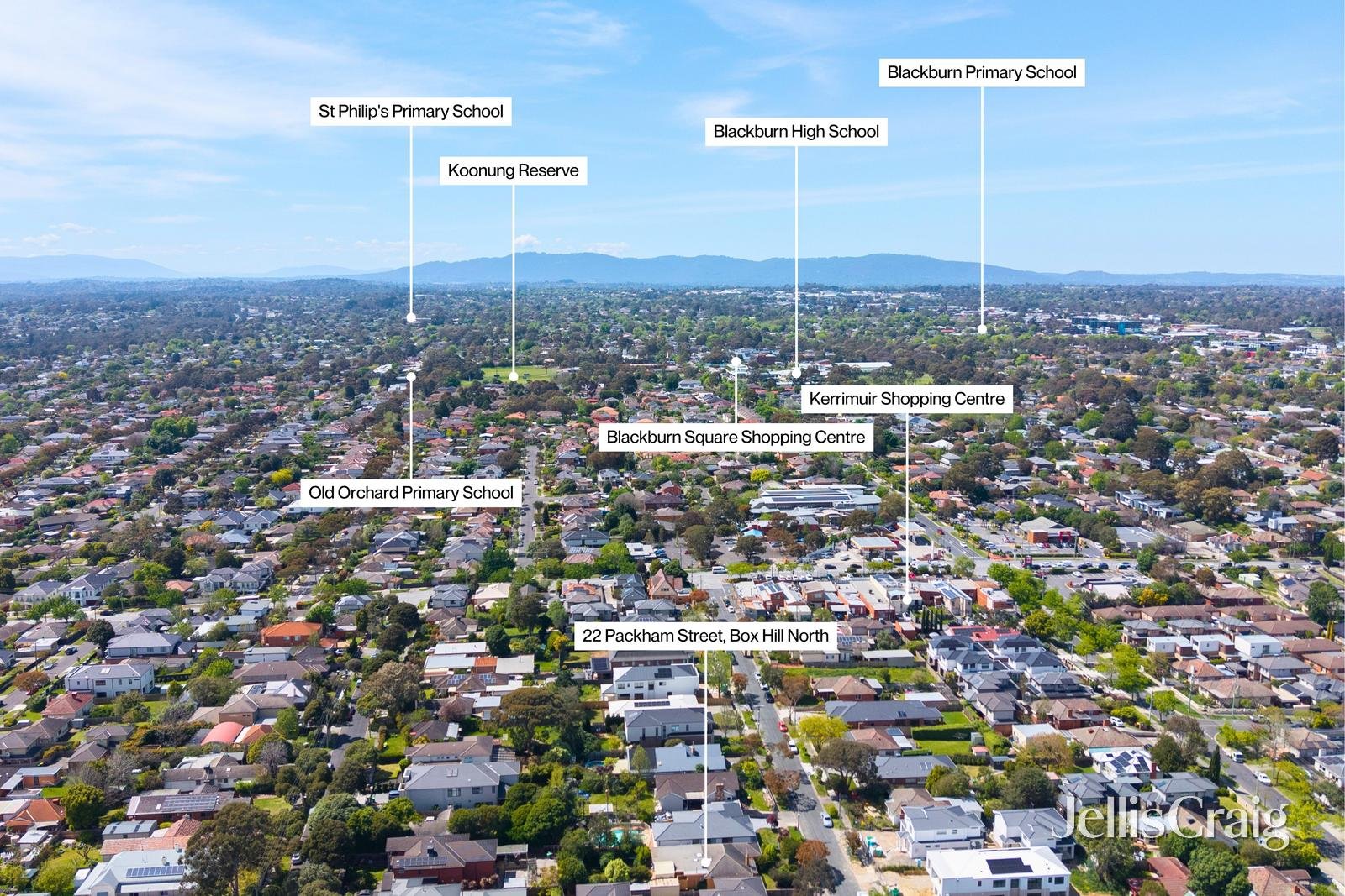 22 Packham Street, Box&nbsp;Hill&nbsp;North image 20