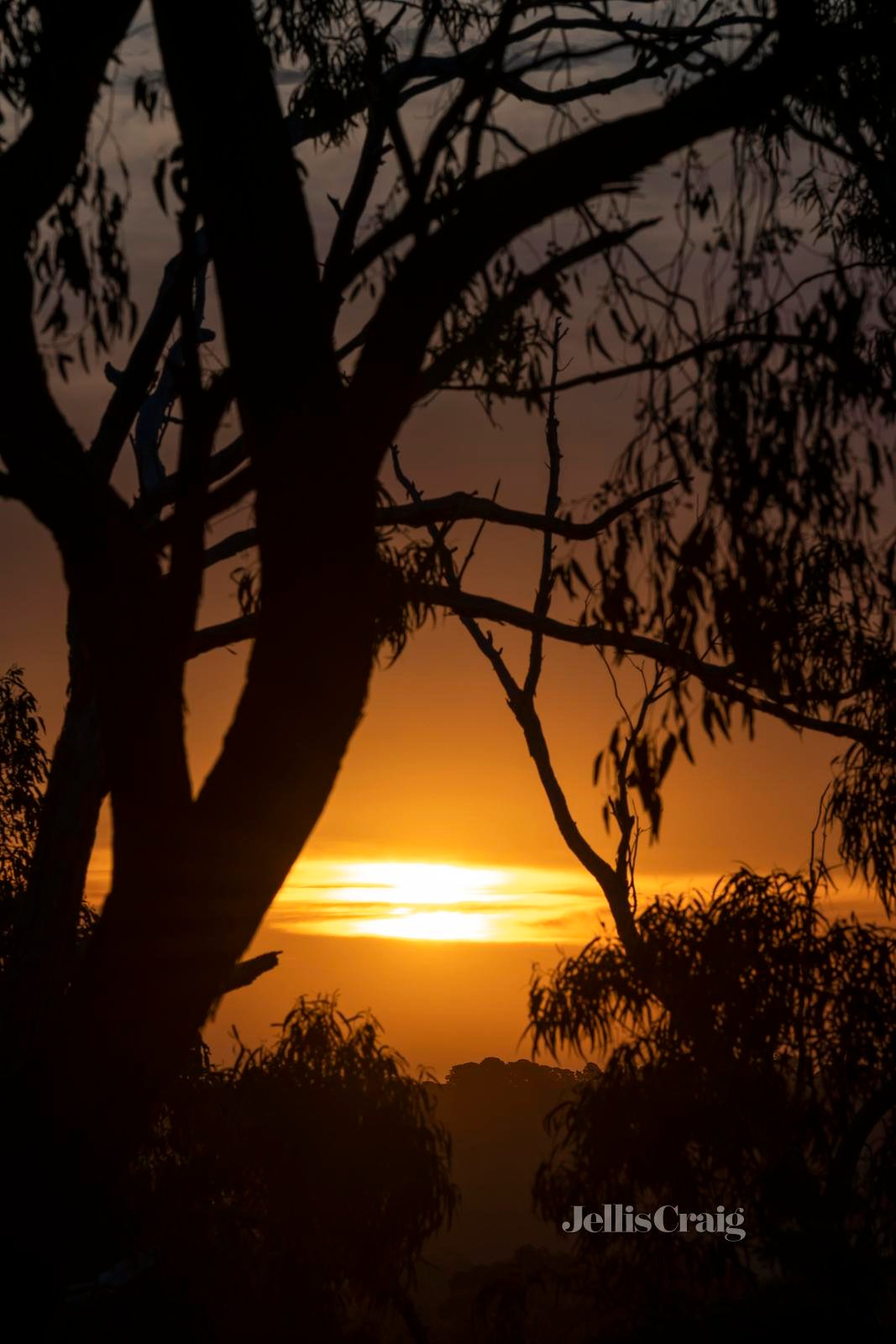 22 Reserves Road, Mount Evelyn image 25