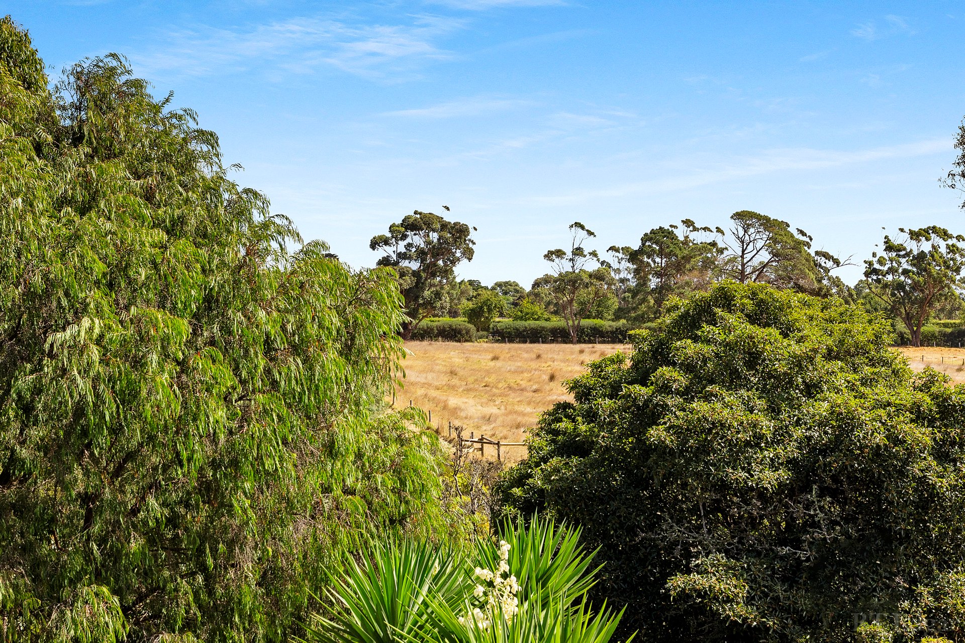 Property Gallery Thumbnail 10
