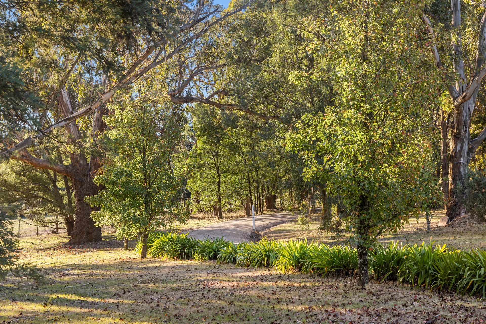 Property Gallery Thumbnail 20